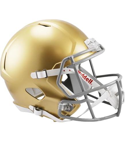 Amazon.co.jp: Riddell NCAAノートルダムファイティングアイ