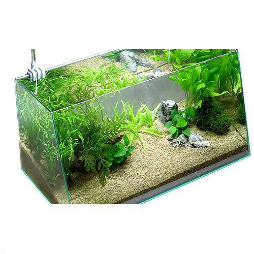 初心者向き 60cm水槽とは 飼える魚は 水草は レイアウトは トロピカ