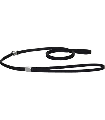 Amazon | 神戸工房 トロットリード ボーダー 青 | 神戸工房 | リード 通販