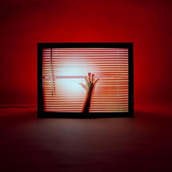 Amazon.co.jp: Womb [輸入アナログ盤 / 1LP] (4AD0235LP