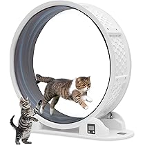 猫運輸 E-Cat kit2 イーキャットキット2 一輪車自動化タイヤ エアー