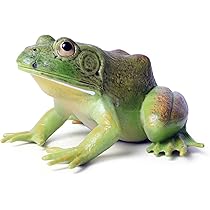 Amazon | EUHELOPA ウシガエル フィギュア カエル 13.8cm級 海洋