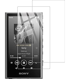 ソニー ウォークマン　NW-A306　32GB　グレー　純正ソフトケースセット 41aduzprWGL._UF350,350_QL50_.jpg