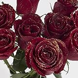 ダーズンローズ 大輪赤バラ花束 12本 プロポーズ ラメ無料 結婚式 結婚記念日 薔薇１２本 サプライズ プロポーズ ダーズン レッド 国産 大輪 赤ばら(シルバーラメ) バレンタイン