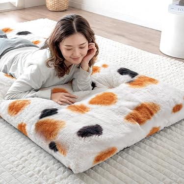 Amazon.co.jp 最新リリース: 座布団 の新着ランキングです。