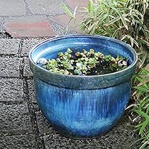大型　青磁　睡蓮鉢　水鉢 楽天市場】水鉢 8【青釉】 Aサイズ 大きい水鉢 大きい睡蓮鉢