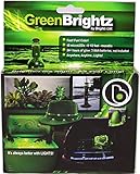 Brightz, Ltd. Green Everyday Color Brightz LED Light Accessory [並行輸入品]