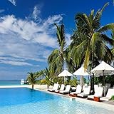 Thunder Cat [Explicit]