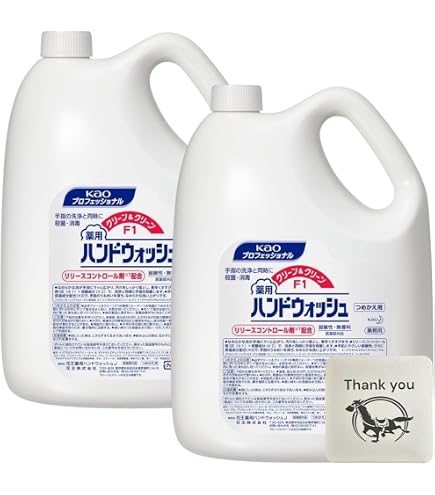 Amazon.co.jp: 花王 クリーン&クリーンF1 薬用ハンドウォッシュ 4