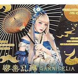 Amazon.co.jp: ambiguous(期間生産限定アニメ盤) - GARNiDELiA (DVD付