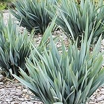 61LnTW9OIjL._AC_UL210_SR210,