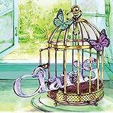 Border 初回生産限定盤 Dvd付 Claris