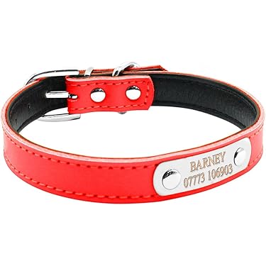 Amazon.co.jp 人気ギフトランキング: 犬用首輪 で、ギフトの設定を使用