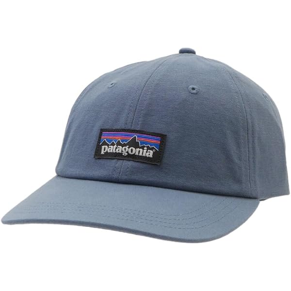 Amazon | [パタゴニア] ティンシェッド キャップ TIN SHED HAT 33376 P