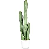 人工観葉植物 サボテン フェイクグリーン 78CM 造花 観葉樹 光触媒 空気清浄 インテリア 飾り 世話いらず 水やり不要 オフィス ホーム デコレーション
