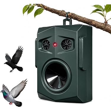 Amazon.co.jp 最新リリース: 鳥用品 の新着ランキングです。