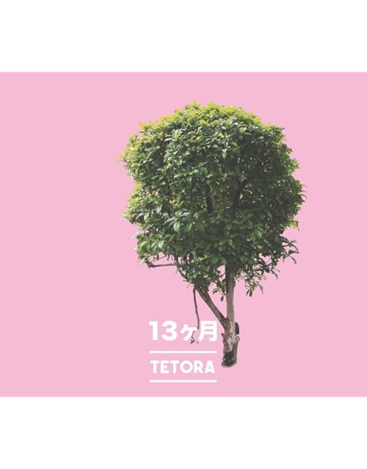 TETORA DVD コンプリートセット Amazon.co.jp: TETORA 5th DVD武道館でワンマン : TETORA