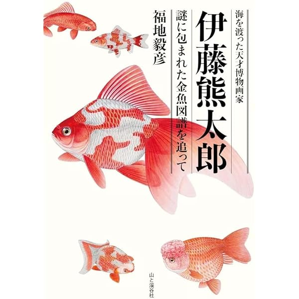 海を渡った天才博物画家 伊藤熊太郎 謎に包まれた金魚図譜を追って