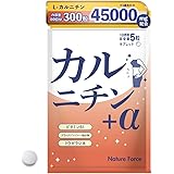 カルニチン サプリ ダイエット L-カルニチン45,000mg配合 カルニチン＋α 60日分 300粒 1袋 ブラックジンジャー カプサイシン ビタミンB1
