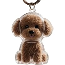 Amazon.co.jp: [AOSAIXIS] 1ピースキーホルダー、ペットの毛の記念品