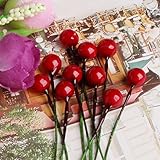 Cici Store 10pcsミニ人工フルーツザクロFrosted Berry – DIYウェディングクリスマスデコレーション