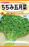 【種子】 ちぢみ五月菜 トーホクのタネ