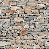 Blooming壁Faux Stone壁壁画壁紙、大きなサイズ20.8 in32.8 Ft = 57平方フィート、マルチカラー