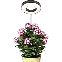 Amazon.co.jp: 多肉植物用 LED グローライト - LED小型