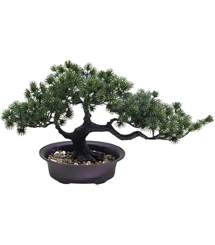 Amazon｜SELECOCO フェイクグリーン フェイク盆栽 人工観葉植物 盆栽