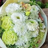 花束 生花 ギフト 3Lサイズ （ ホワイト グリーン 系 ） 大臣賞受賞 デザイナー お任せ花束