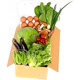 岡山県産限定 新鮮 産直野菜と卵セット（野菜8品目）