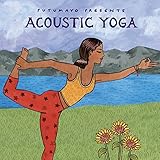 �A�N�[�X�e�B�b�N�E���K