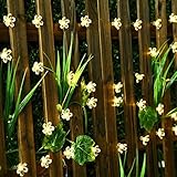 All Star 50 LED Solar-Powered Flower Bulbs Outdoor String Lights (Warm White) [並行輸入品]
