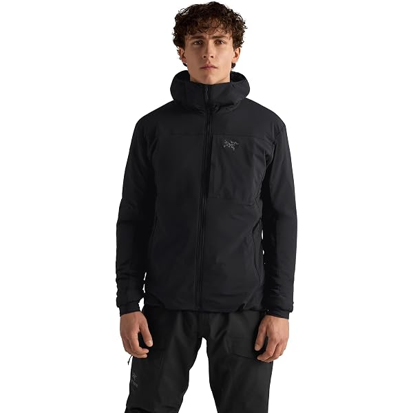 Amazon.co.jp: [アークテリクス] ARCTERYX プロトンSLフーディ男性用