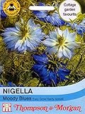 【輸入種子】 Thompson&Morgan NIGELLA Moody Blues ニゲラ・ムーディー・ブルース トンプソン＆モーガン