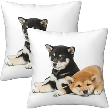 Amazon.co.jp 最新リリース: クッションカバー の新着ランキングです。