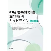神経障害性疼痛薬物療法ガイドライン 改訂第3版 | 日本ペイン
