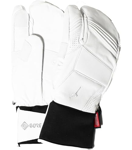 Amazon | [ミズノ]スキーグローブ LEATHER 5F GLOVES レザー グラヴズ