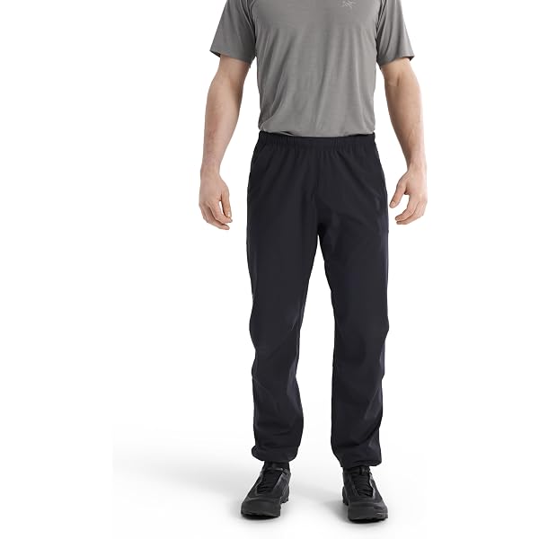 Amazon | ARCTERYX(アークテリクス) ガンマクイックドライショート11