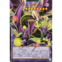 Amazon.co.jp: 遊戯王カード 四天の龍 スターヴ・ヴェノム