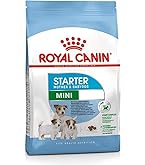  CANIN ロイヤルカナン スタータームース ⓶ スターター ムース マザー＆ベビードッグ（犬用 ウェット