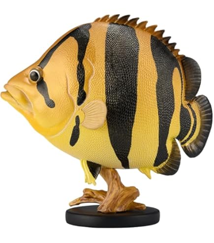 Amazon | 動物惑星 アニマル惑星 第12弾 ガチャガチャ 魚 古代魚