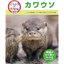 カワウソ | 佐藤 淳一 |本 | 通販 | Amazon