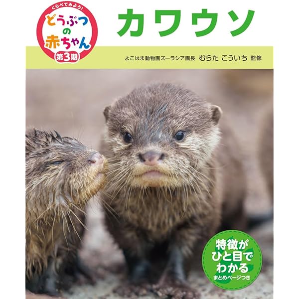 カワウソ① カワウソうそやんSTウソチャン /Kawauso Usoyan ST Uso-chan