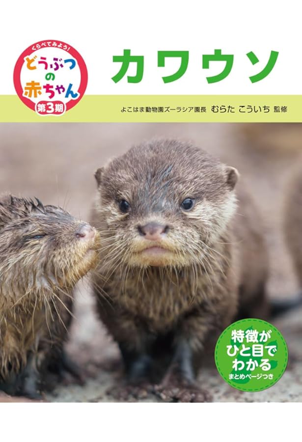 ニホンカワウソはつくづく運がわるかった?! | 熊谷 さとし |本 | 通販