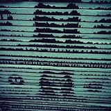 LOOSE SKY