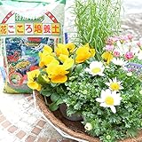 店長おまかせ季節の花苗4鉢&ココプランター&培養土セット ガーデニング 園芸 苗