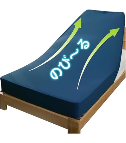 西川　エアーSX　シングルマットレス　REGULAR + エアー専用ラップシーツ エアーSX]マットレス／REGULAR （シングル）9×97×195cm レッド