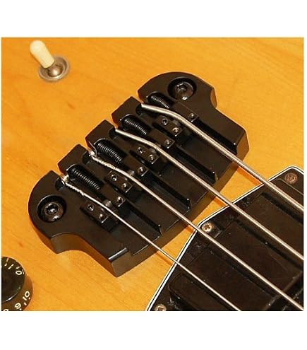 Amazon | エピフォン Epiphone 940-ETBCS Thunderbird Bass Case