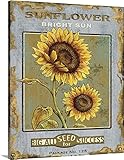 Daphne Brissonnetプレミアムシックラップキャンバス壁アート印刷題名Bright Sun Seeds 11" x 14" 1927112_24_11x14_none